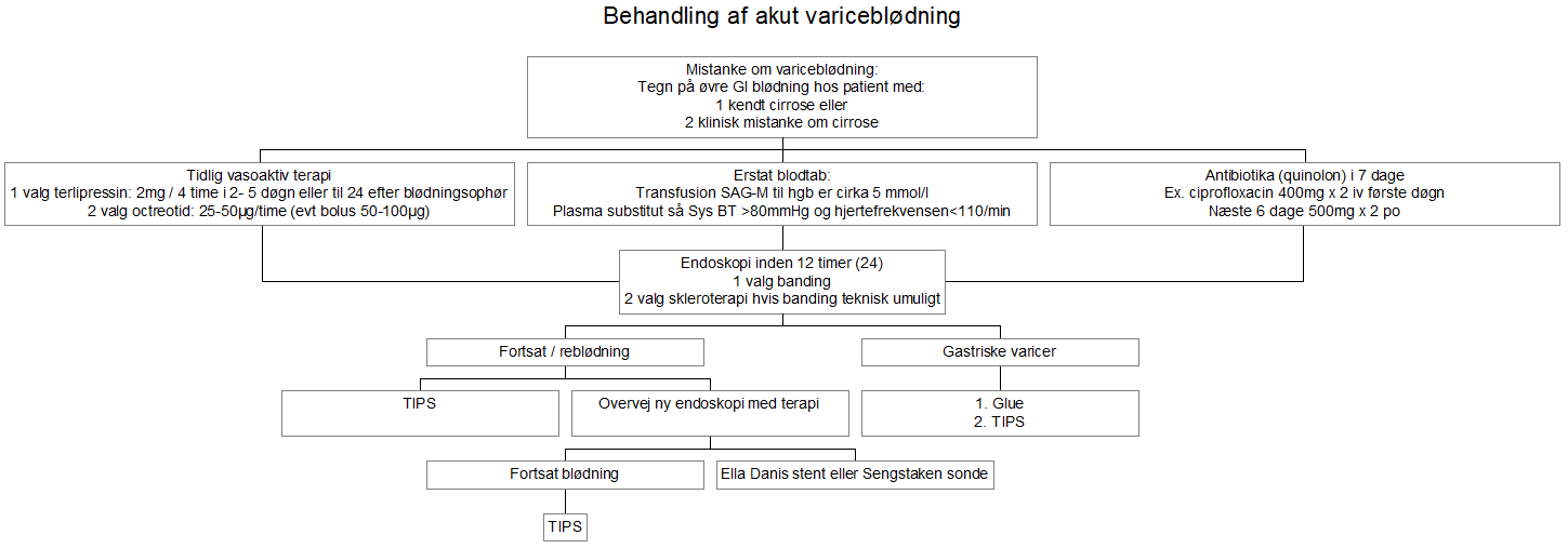 varicebloedning flowchart